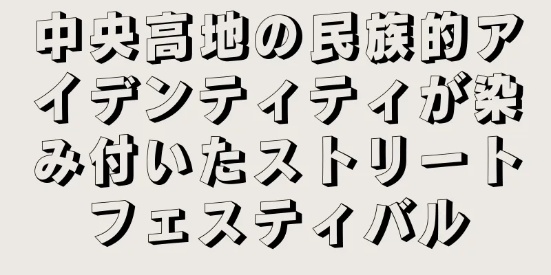 中央高地の民族的アイデンティティが染み付いたストリートフェスティバル