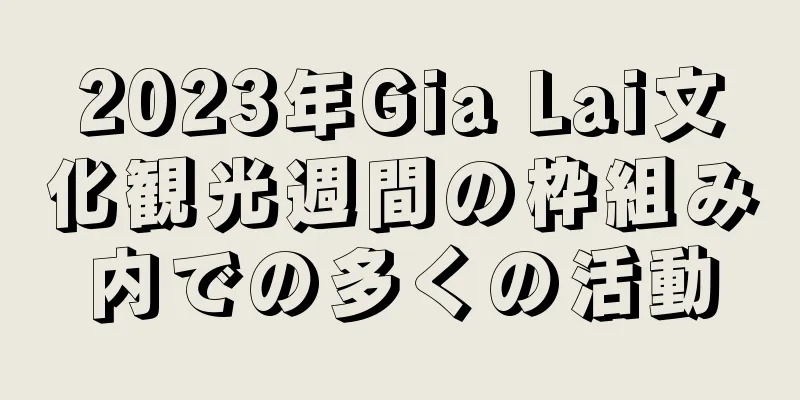 2023年Gia Lai文化観光週間の枠組み内での多くの活動