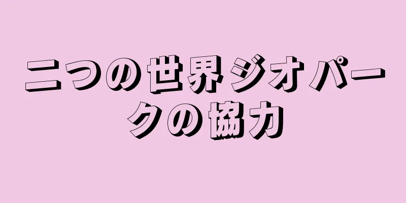 二つの世界ジオパークの協力