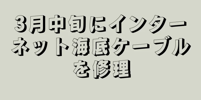 3月中旬にインターネット海底ケーブルを修理