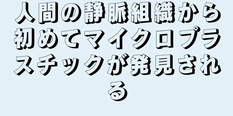 人間の静脈組織から初めてマイクロプラスチックが発見される