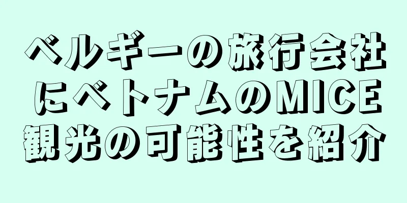 ベルギーの旅行会社にベトナムのMICE観光の可能性を紹介