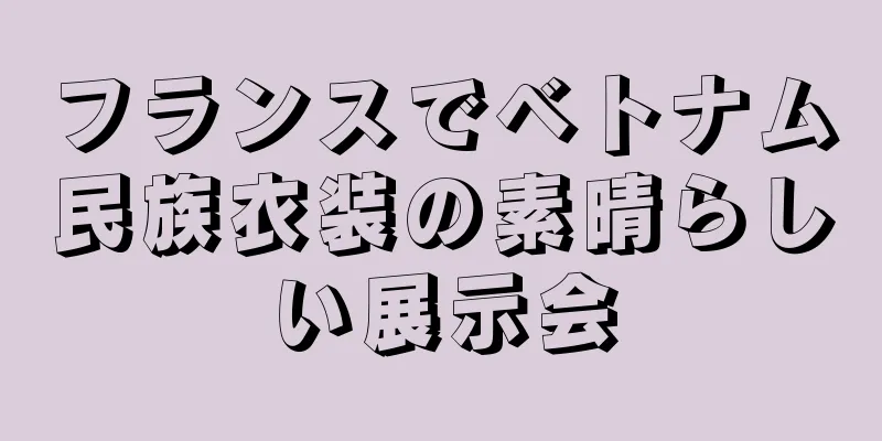 フランスでベトナム民族衣装の素晴らしい展示会