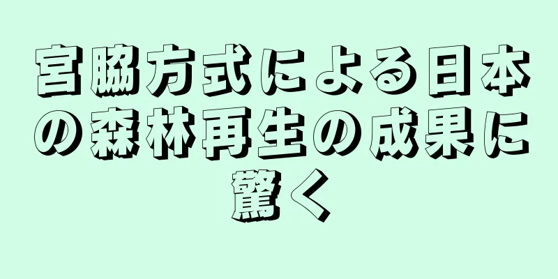 宮脇方式による日本の森林再生の成果に驚く