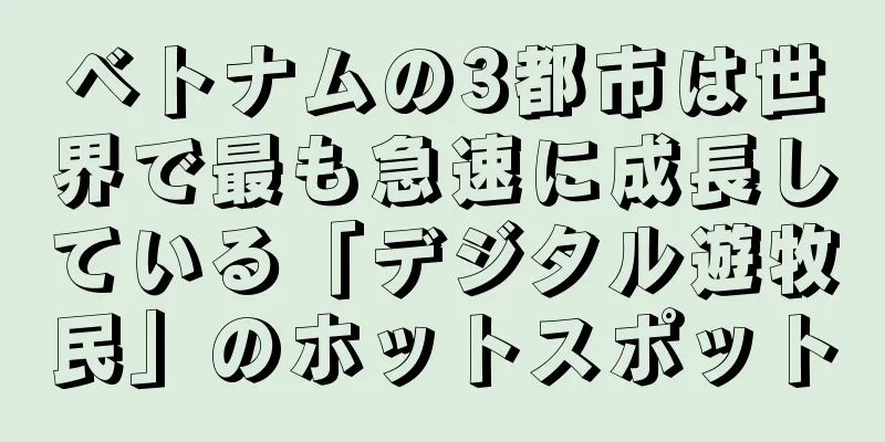 ベトナムの3都市は世界で最も急速に成長している「デジタル遊牧民」のホットスポット