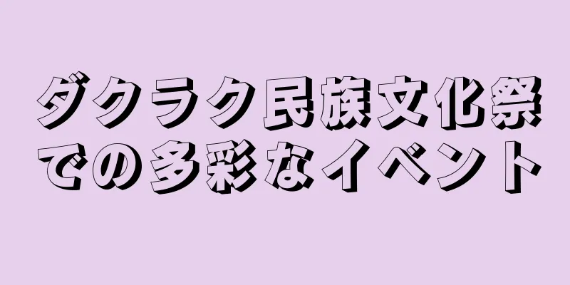 ダクラク民族文化祭での多彩なイベント