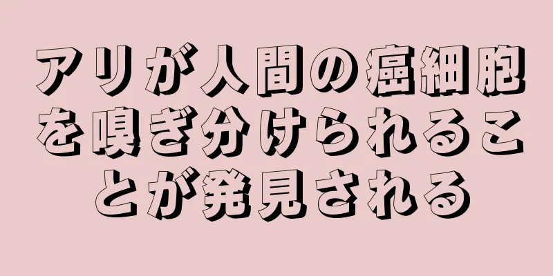 アリが人間の癌細胞を嗅ぎ分けられることが発見される