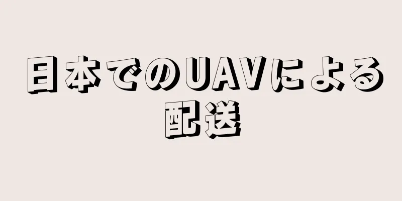 日本でのUAVによる配送