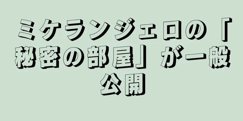 ミケランジェロの「秘密の部屋」が一般公開