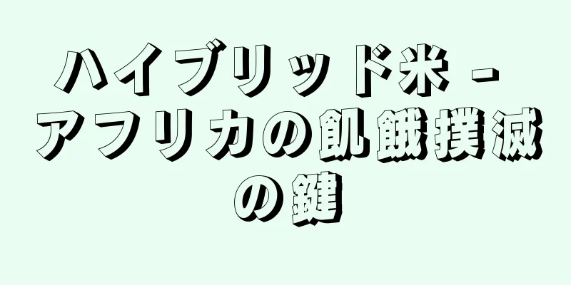 ハイブリッド米 - アフリカの飢餓撲滅の鍵