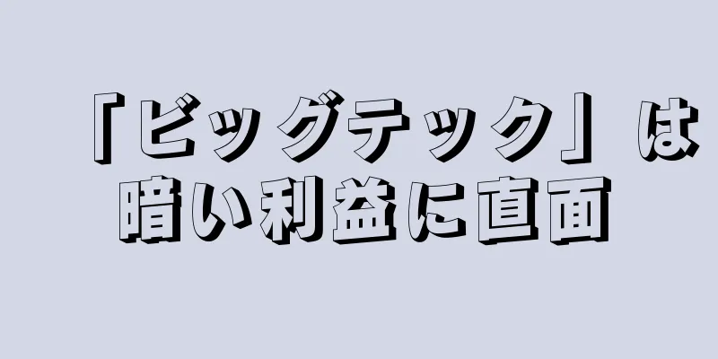 「ビッグテック」は暗い利益に直面