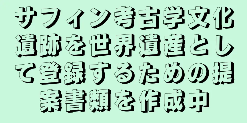 サフィン考古学文化遺跡を世界遺産として登録するための提案書類を作成中