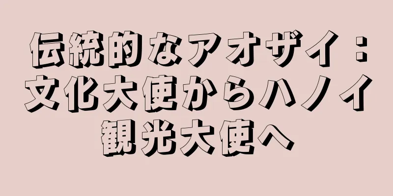伝統的なアオザイ：文化大使からハノイ観光大使へ