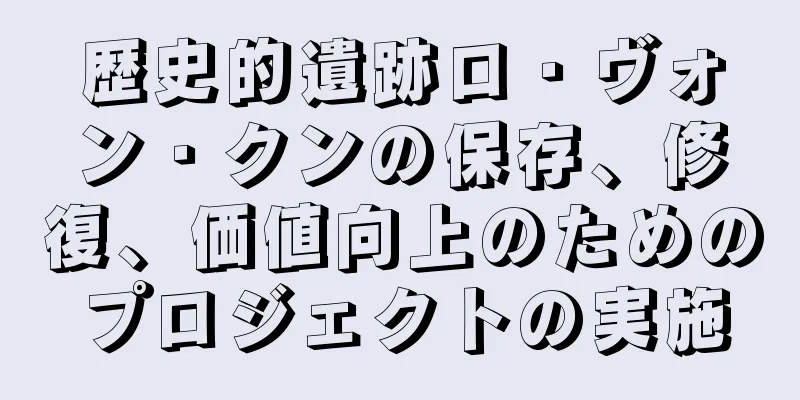 歴史的遺跡ロ・ヴォン・クンの保存、修復、価値向上のためのプロジェクトの実施