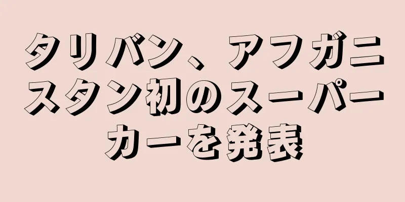 タリバン、アフガニスタン初のスーパーカーを発表