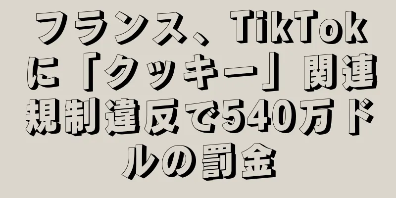 フランス、TikTokに「クッキー」関連規制違反で540万ドルの罰金