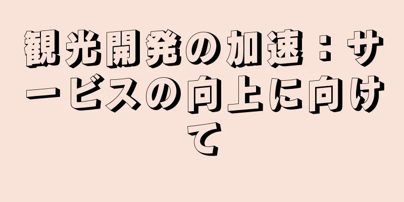 観光開発の加速：サービスの向上に向けて
