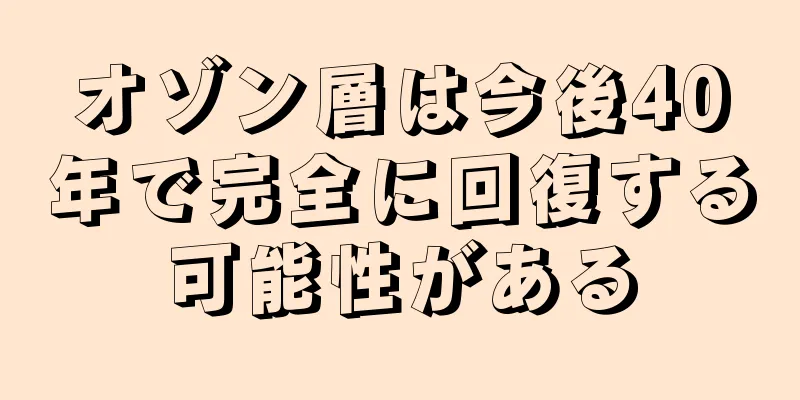 オゾン層は今後40年で完全に回復する可能性がある