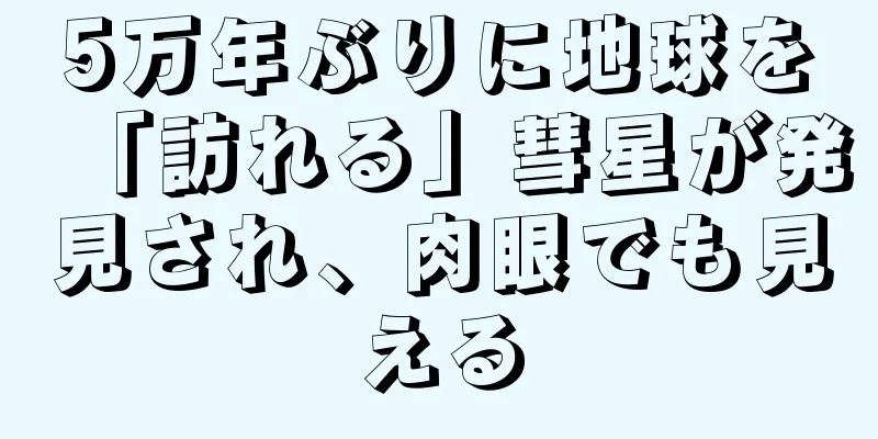 5万年ぶりに地球を「訪れる」彗星が発見され、肉眼でも見える