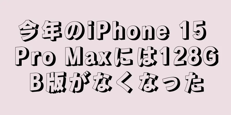 今年のiPhone 15 Pro Maxには128GB版がなくなった
