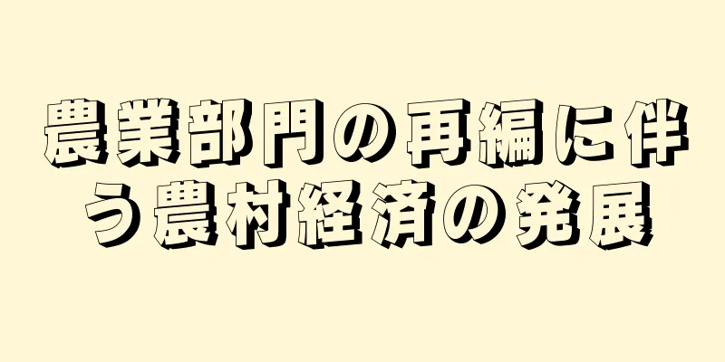 農業部門の再編に伴う農村経済の発展