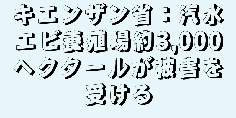 キエンザン省：汽水エビ養殖場約3,000ヘクタールが被害を受ける