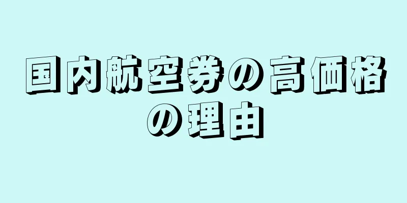 国内航空券の高価格の理由
