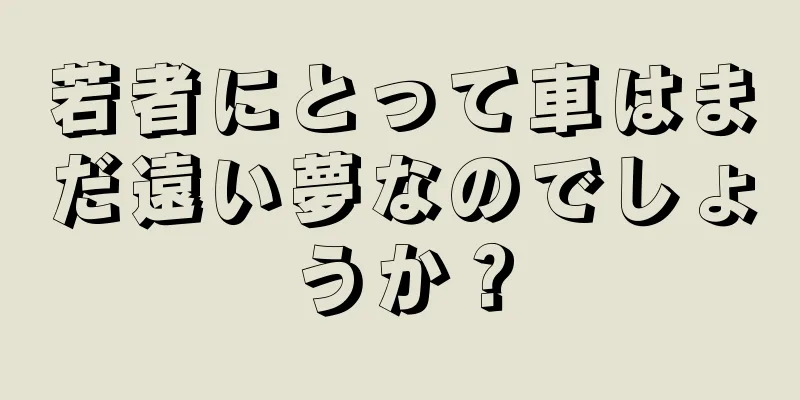 若者にとって車はまだ遠い夢なのでしょうか？