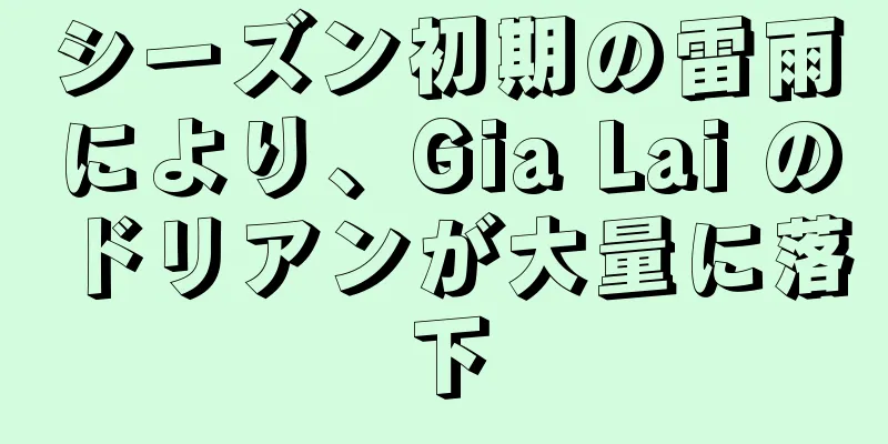 シーズン初期の雷雨により、Gia Lai のドリアンが大量に落下