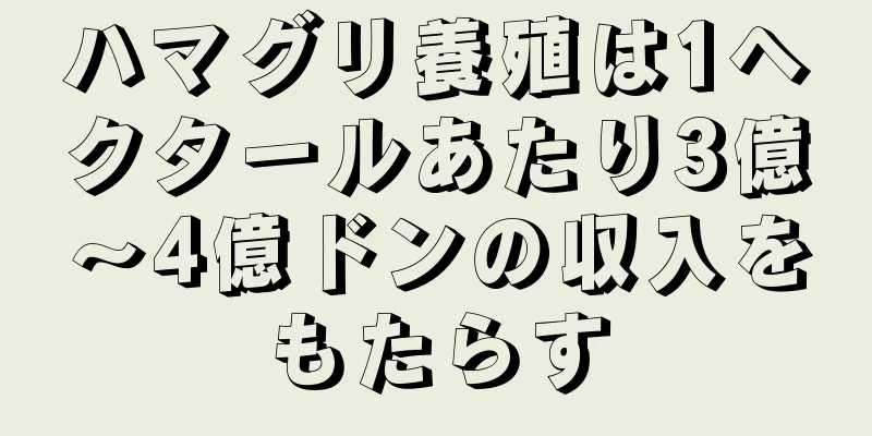 ハマグリ養殖は1ヘクタールあたり3億～4億ドンの収入をもたらす