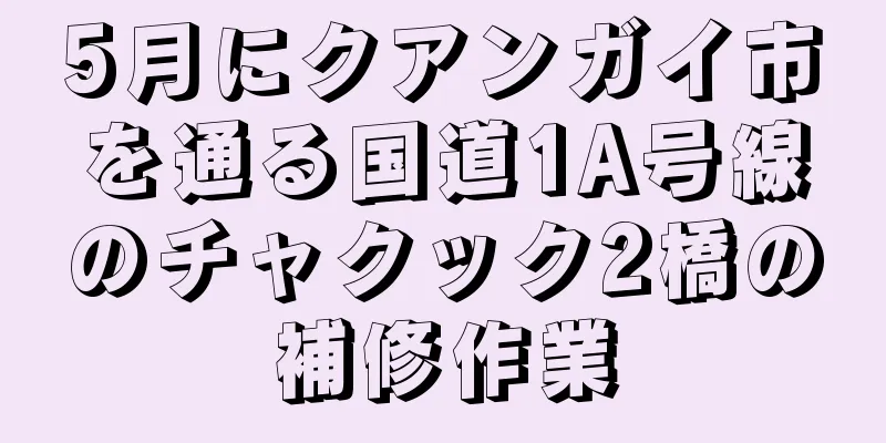 5月にクアンガイ市を通る国道1A号線のチャクック2橋の補修作業