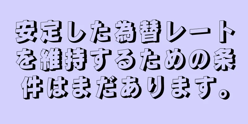 安定した為替レートを維持するための条件はまだあります。