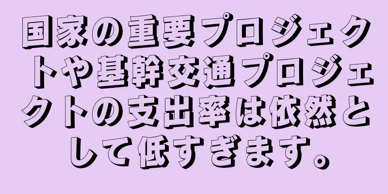 国家の重要プロジェクトや基幹交通プロジェクトの支出率は依然として低すぎます。