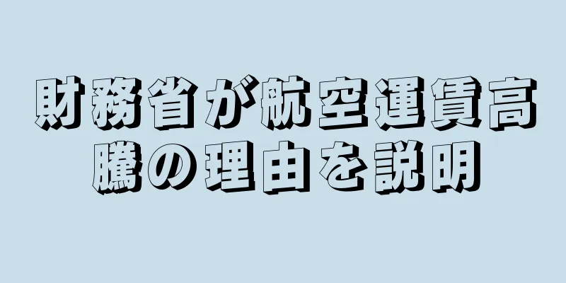 財務省が航空運賃高騰の理由を説明
