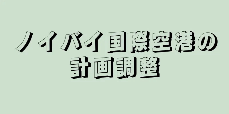 ノイバイ国際空港の計画調整