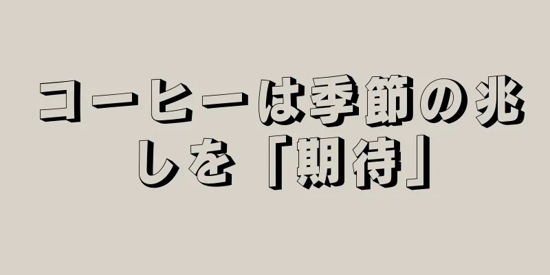 コーヒーは季節の兆しを「期待」