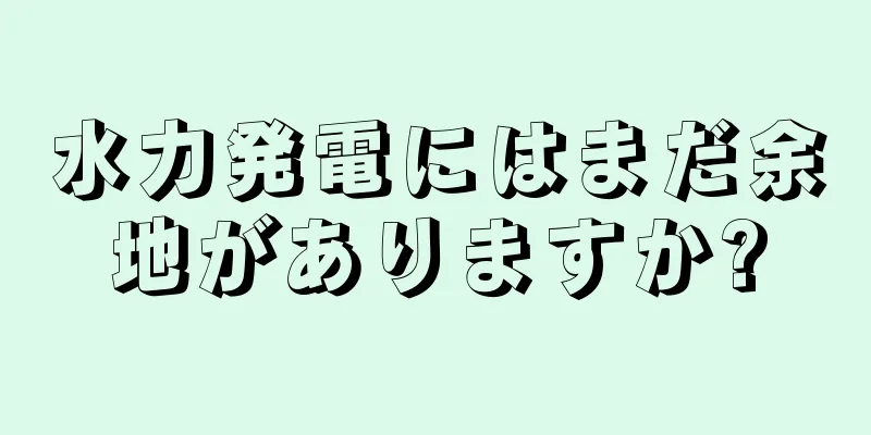 水力発電にはまだ余地がありますか?