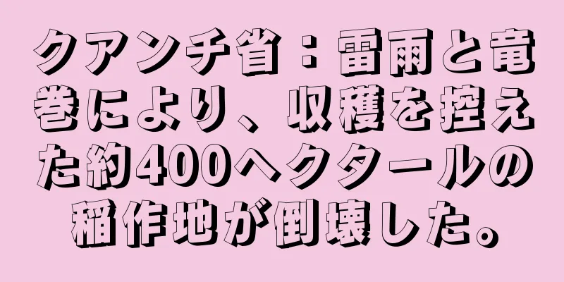 クアンチ省：雷雨と竜巻により、収穫を控えた約400ヘクタールの稲作地が倒壊した。
