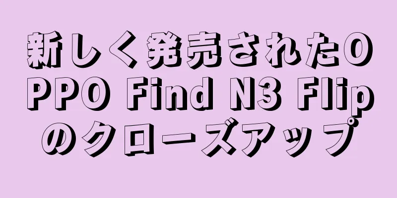 新しく発売されたOPPO Find N3 Flipのクローズアップ