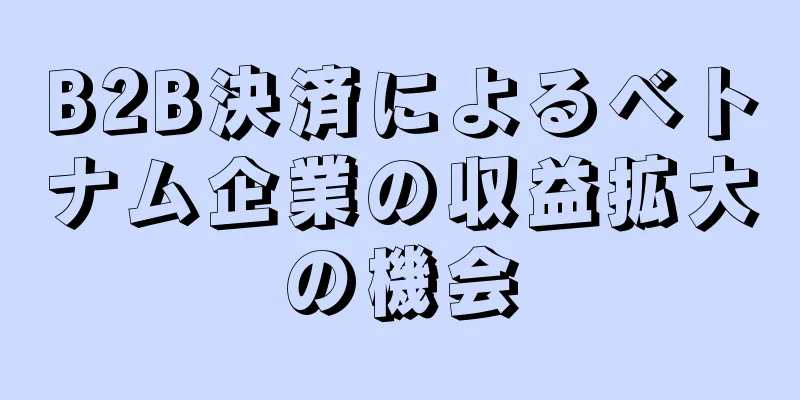 B2B決済によるベトナム企業の収益拡大の機会