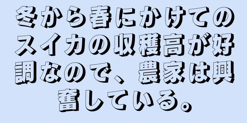 冬から春にかけてのスイカの収穫高が好調なので、農家は興奮している。