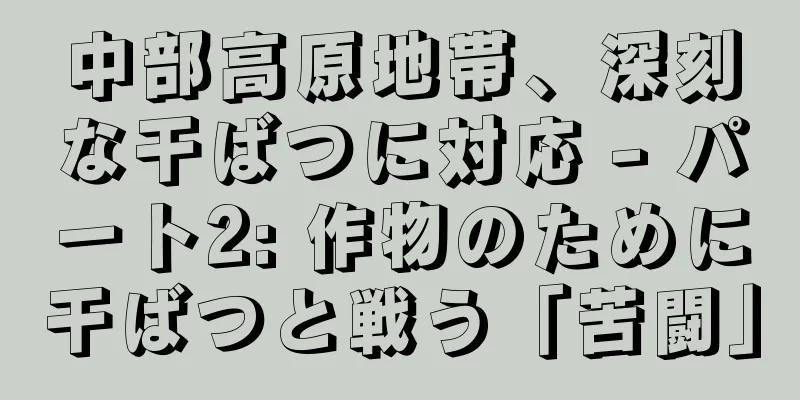 中部高原地帯、深刻な干ばつに対応 - パート2: 作物のために干ばつと戦う「苦闘」