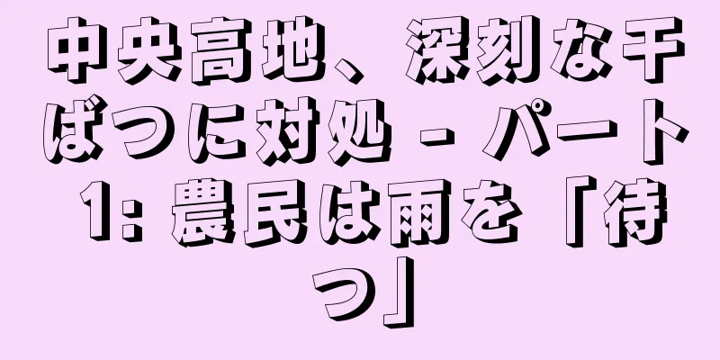 中央高地、深刻な干ばつに対処 - パート 1: 農民は雨を「待つ」