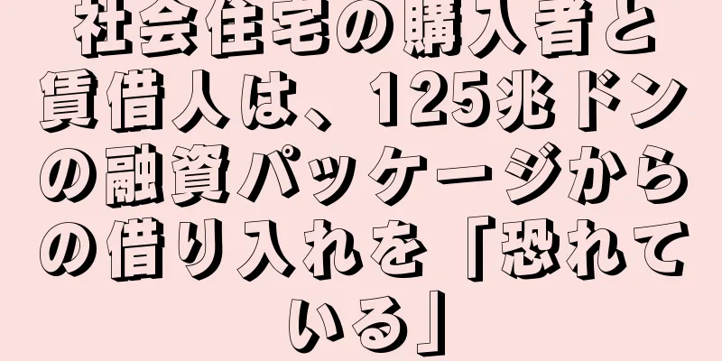 社会住宅の購入者と賃借人は、125兆ドンの融資パッケージからの借り入れを「恐れている」
