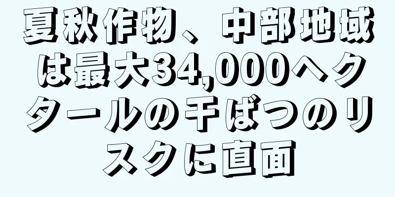 夏秋作物、中部地域は最大34,000ヘクタールの干ばつのリスクに直面