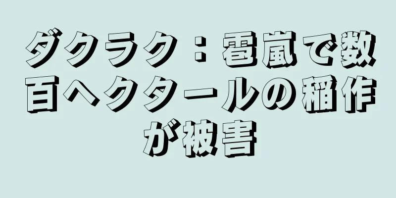 ダクラク：雹嵐で数百ヘクタールの稲作が被害