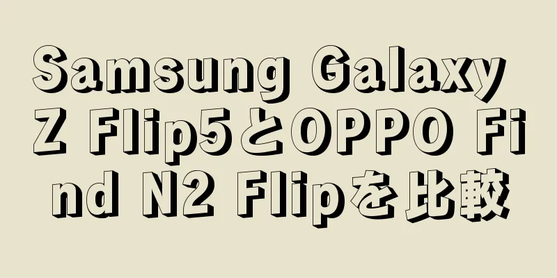 Samsung Galaxy Z Flip5とOPPO Find N2 Flipを比較