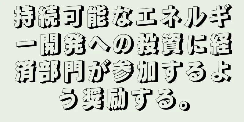 持続可能なエネルギー開発への投資に経済部門が参加するよう奨励する。