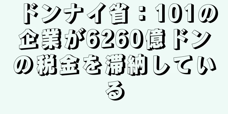 ドンナイ省：101の企業が6260億ドンの税金を滞納している