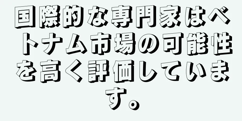 国際的な専門家はベトナム市場の可能性を高く評価しています。